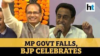 Watch: Shivraj Chouhan leads BJP celebration after Kamal Nath resigns as CM