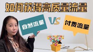 2021网络赚钱：如何获得高质量流量？付费流量VS免费流量