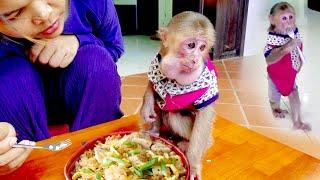 Kind Mom always Take care her baby & Teach her #shorts #reels #monkeys #bae3 #animals #icy #cute