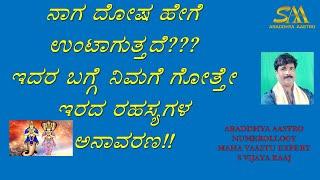 ನಾಗ ದೋಷ ಹೇಗೆ ಉಂಟಾಗುತ್ತದೆ ?? ಇದರ ಬಗ್ಗೆ ನಿಮಗೆ ಗೊತ್ತೇ ಇರದ ರಹಸ್ಯಗಳ ಅನಾವರಣ !!!