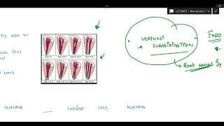 VERTUCCI CLASSIFICATION MADE EASY AND A TRICK TO MEMORIZE IT .. DENTISTRY ENDODONTICS LESSONS