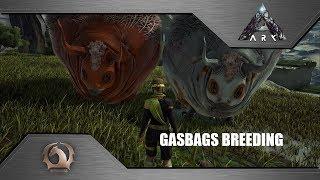 Ark Survival Evolved - Breeding Gasbags