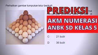 Prediksi Soal ANBK SD 2021 I AKM Numerasi Kelas 5 SD : AKM SD Materi Pola BIlangan