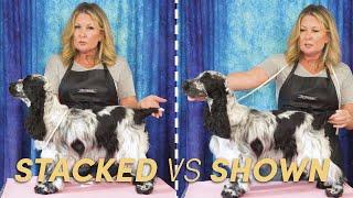 How to SHOW your dog vs 'Just Stacking' Your Dog