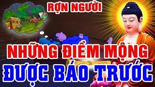 NHỮNG ĐIỀM MỘNG ĐƯỢC BÁO TRƯỚC - Chuyện Nhân Quả Báo Ứng Mới Nhất _ Nghe Không Uổng 1 Kiếp Người