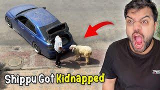 Shippu Got Kidnapped  | Sab Ghar Wale Pareshan Ho Gaye 