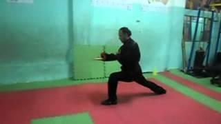 كابتن  حسن حمودة basic Chang Quan 2