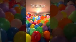 Surprising My Dog With 1800 Balloons!