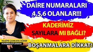 Kaderimiz Sayılara Mı Bağlı? ( Daire Numaraları Serisi 4-5-6 Numaralı Daireler)