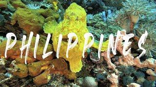 Philippines diving - Puerto Galera