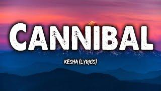 Cannibal - Kesha (Lyrics)