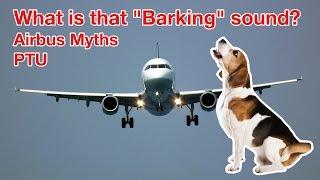 MYSTERIOUS BARKING SOUND on AIRBUS? All about the PTU explained by "Captain"Joe