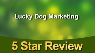 Lucky Dog Marketing Arlington Incredible Five Star Review by Amy Crescimanno-Word