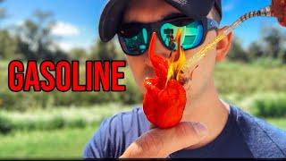 Gasoline ️ | it has OIL!!  | Pepper Review