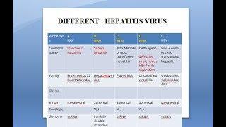 Microbiology 550 a Hepatitis Virus A B C D E difference compare Jaundice Blood Serum Sexual