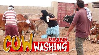 | Cow Washing Prank | By Nadir Ali & Farukh Buddha in | P4 Pakao | 2021