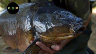 Terry Hearn - Tunnel Vision - Iconic Carp Fishing