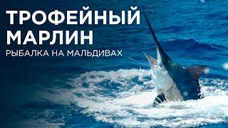 Голубой Марлин. Blue Marlin. Trip expert Михаил Карпович ( Mikhail Karpovich )