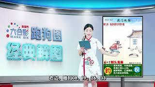 第027期 --【新澳门跑狗图】白小姐来给你解图啦！