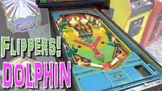 Working On The FLIPPERS On Our Chicago Coin DOLPHIN Pinball Machine - All Finished Up!