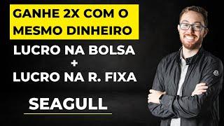 COMO USAR O MESMO DINHEIRO PARA GANHAR TANTO NA BOLSA COMO NA RENDA FIXA: OPERAÇÃO SEAGULL