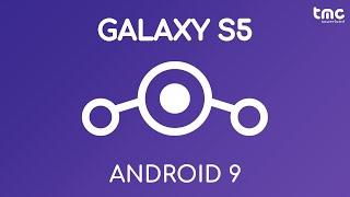 Android 9 auf dem Samsung Galaxy S5  - LineageOS 16.0