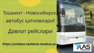 Ташкент Новосибирск автобус. Тошкент Новосибирск автобус  -Tashkent Novosibirsk avtobus
