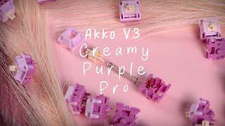 Akko V3 Creamy Purple Pro Switch Review | Sound Test, Comparison