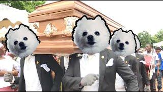 Gabe the Dog - Astronomia (Coffin Dance Meme)