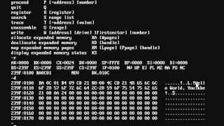 Introduction to x86 Assembly (DOS)