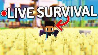  Minecraft Low-Key Survival #LIVE