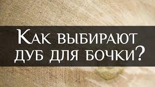 How to choose oak for the wine barrel | Bondarnaya Lavka