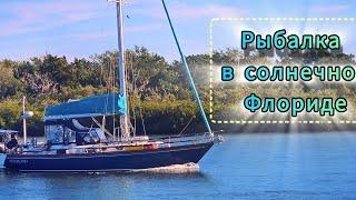 ЗИМНЯЯ рыбалка 2025 в штате Флорида!!!ЭТО ЧЕ ЗА....!!!#рыбалка #fishing #рыбалкавамерике