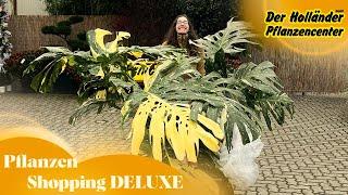 PFLANZEN SHOPPING  Das beste Gartencenter Berlins - Monstera & mehr beim Holländer!