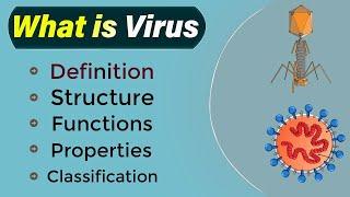 Human Viruses Explained: Structure, Classification, and Functions of Viruses