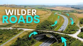 Britain's Roads are Getting Wilder - here's how