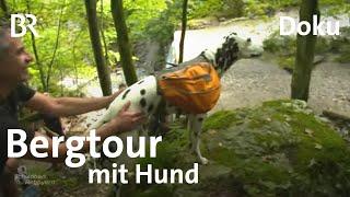 Auf gesicherten Pfoten mit Hunde-Trekking-Kurs: Mit dem Hund in die Berge | Schwaben & Altbayern |BR