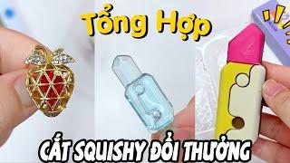 Tổng Hợp Cắt Squishy Đổi Thưởng Tập 20 | Bạn Có Thích Dao Củ Cả Đầy Màu Sắc Này Không? (Dương Thộn)