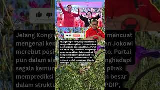 Tegang!! Jokowi Siap Rebut Posisi Sekjen PDIP ?