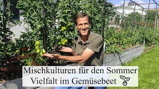 Ideale Mischkulturen für das Sommer-Gemüse  was passt zusammen? Was verträgt sich gar nicht 