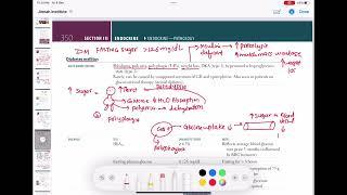 Diabetes mellitus #endocrinology 60 | First Aid USMLE Step 1 in Urdu/Hindi |