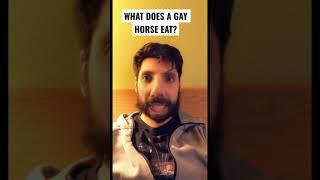 What does a gay horse eat?