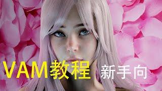 VAM教程一之 游戏简介