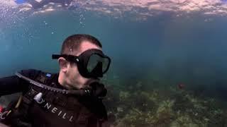 San Pedro Island  2 • Scuba Diving w Dillon • 360° in 4K • 6/13/23