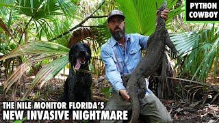 Florida's Under Attack By A New Invasive Predator The Nile Monitor