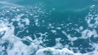 sea foam, waves - free video backgrounds