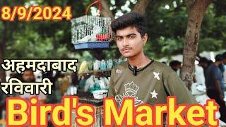 अहमदाबाद रविवारी Birds Market/Sunday bird's market/aaj ki Sunday bird's market/ahemdabad pet market/