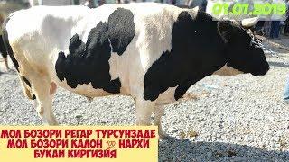 Мол бозори Регар Турсунзаде/нархи букаи калон