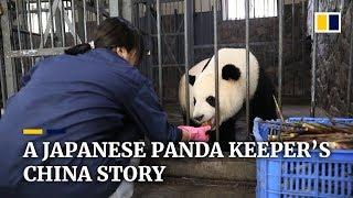 A Japanese panda keeper's China story