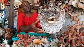 Inside The LARGEST Fish Market of Tanzania Kivukoni 